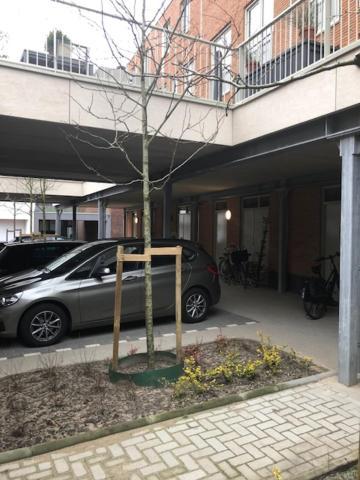 Benb Op De Trans, Arnhem Op Zijn Best! Esterno foto